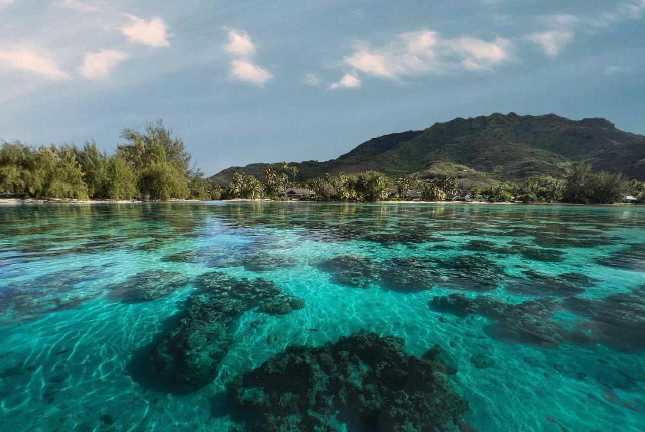 Fare Tiaia Hotel Temae Bagian luar foto